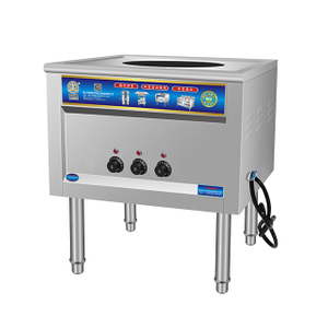Electric Steam Oven